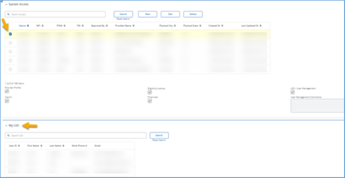 Connex System Access with a yellow arrow pointing to the checkbox and My LSO. 